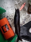 DSC_1075.jpg